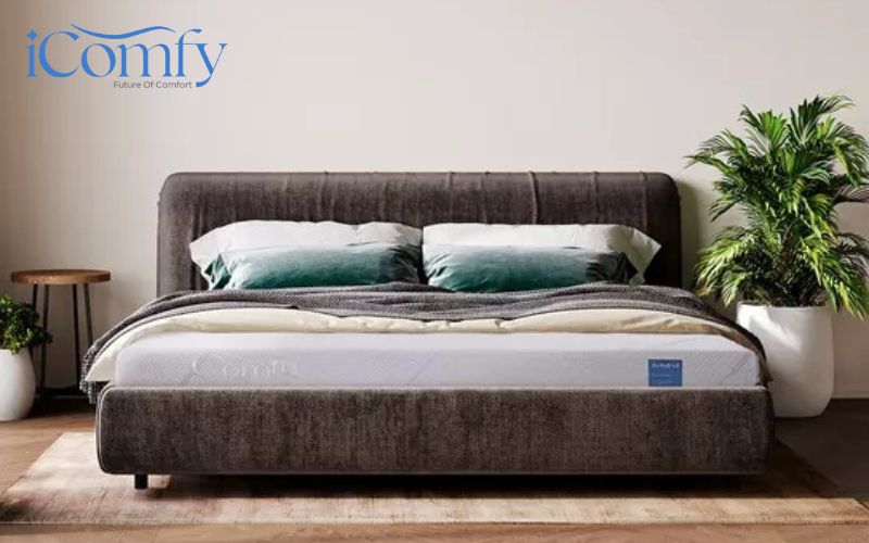 Những công nghệ sản xuất nệm foam nổi bật nhất hiện nay 6 Nệm Comfy Cloud 1.0