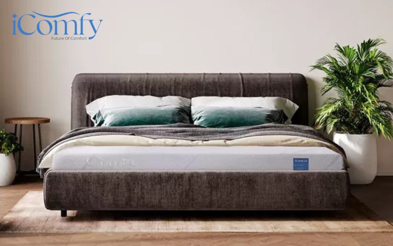 Nệm cao su hybrid và nệm foam nào loại tốt hơn? So sánh 2 loại nệm 6 Nệm Comfy Cloud 1.0