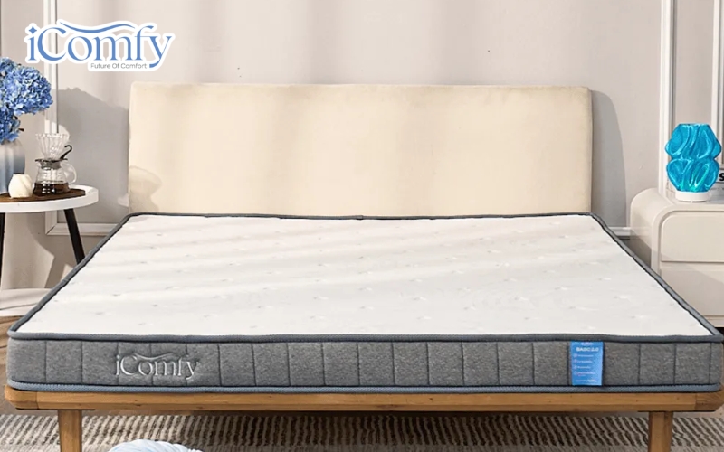 iComfy Basic 2.0