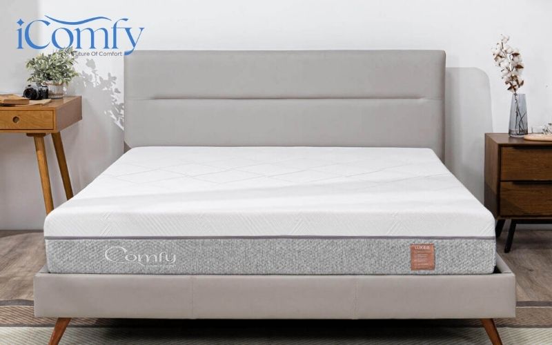Review chi tiết nệm foam cao cấp kháng virus Comfy Lux 2.0 2 Comfy là một thương hiệu nệm trong nước được người dùng ưa chuộng