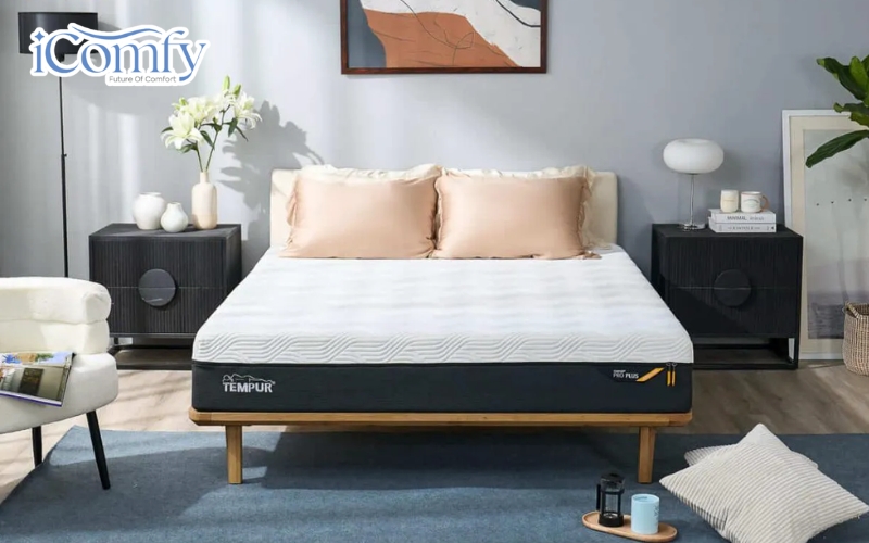 Các sản phẩm thường sử dụng nguyên liệu chọn lọc kết hợp quy trình sản xuất hiện đại
