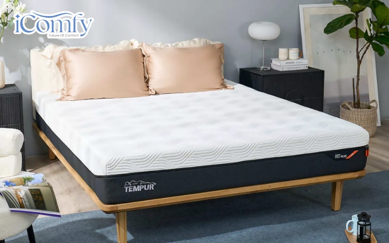 Tempur-Pedic