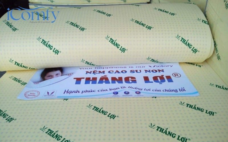 Điểm danh các thương hiệu nệm Việt Nam uy tín 6 Thương hiệu nệm Thắng Lợi