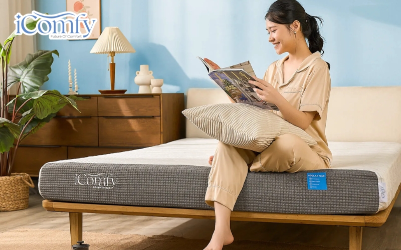 Cẩm nang chọn độ cứng nệm chuẩn y khoa giúp bảo vệ cột sống 7 iComfy Coolax Plus