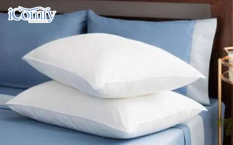 Doona Basic