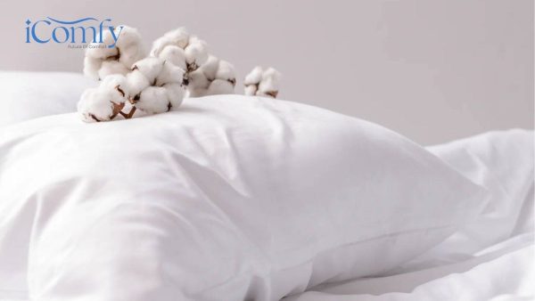 Có nên nằm gối bông gòn không? Ưu và nhược điểm của sản phẩm