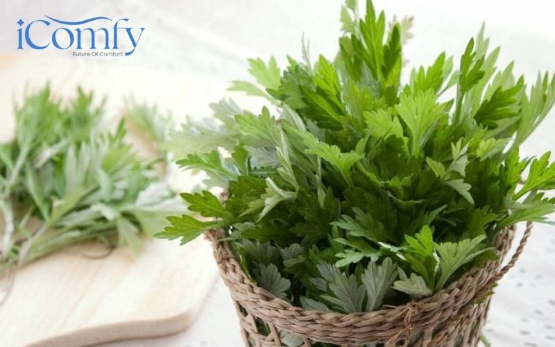 Gối ngải cứu – Bí quyết chăm sóc sức khỏe đơn giản, hiệu quả 2 Gối ngải cứu có phần ruột gối làm từ cây ngải cứu