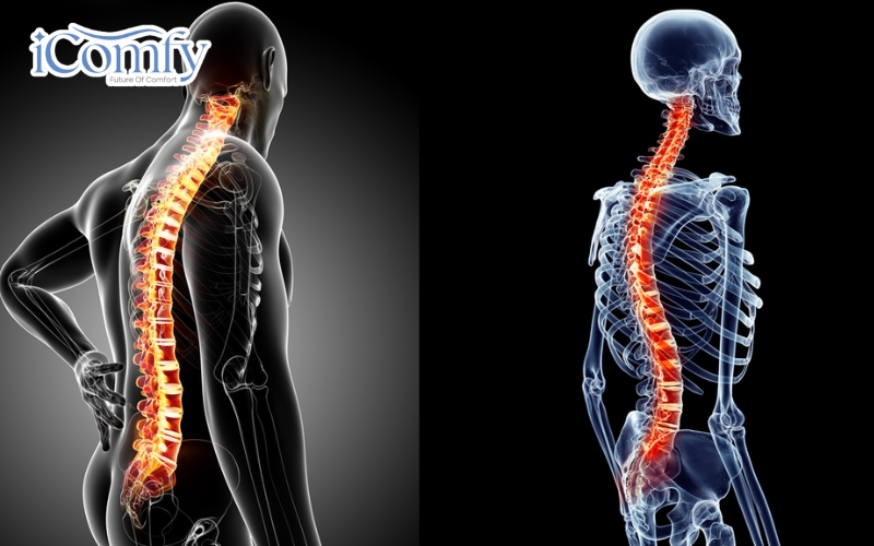 Nguyên tắc cốt lõi là sau mỗi 45–60 phút ngồi làm việc liên tục, bạn nên đứng dậy đi lại