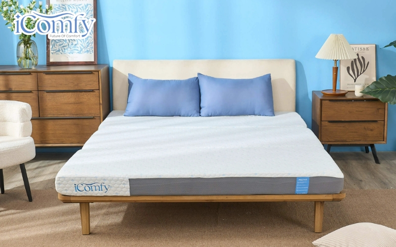 iComfy hiện là một trong những thương hiệu được nhiều gia đình tin tưởng