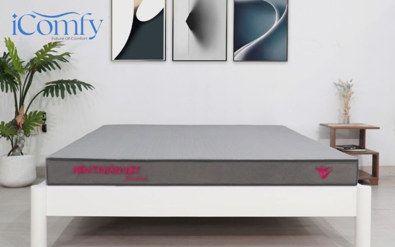 Gợi ý cách chọn mua nệm cho chung cư phù hợp, chất lượng 10 Nệm thuần Việt là thương hiệu nệm được nhiều người tin dùng