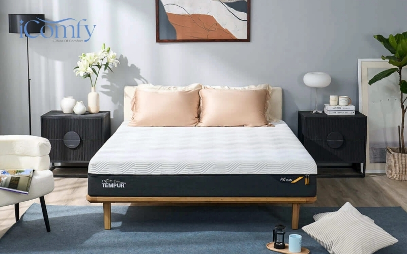 Top 9 mẫu nệm cao cấp, sang trọng cho giới nhà giàu 3 nem cao cap 2 1