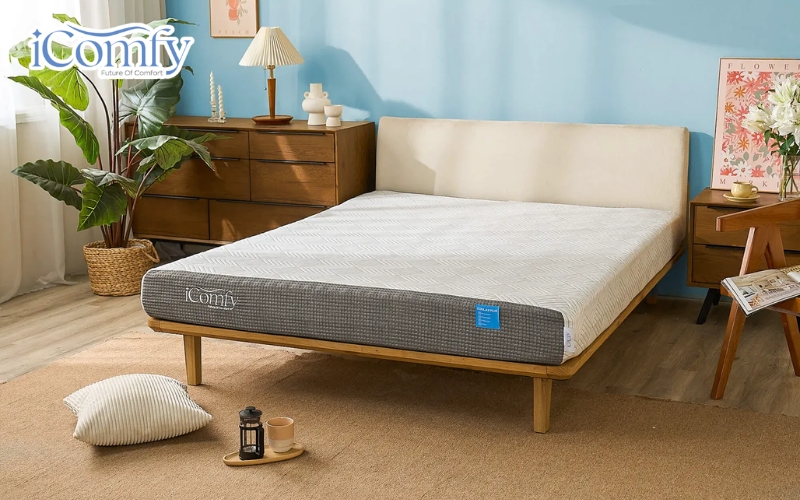 Cách chọn nệm cho divan phù hợp - TOP 7 mẫu chất lượng 7 iComfy Coolax Plus