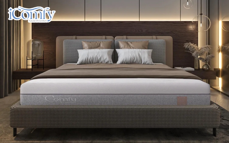iComfy tập trung phát triển nệm foam với đa dạng cấu trúc, độ dày và khả năng nâng đỡ