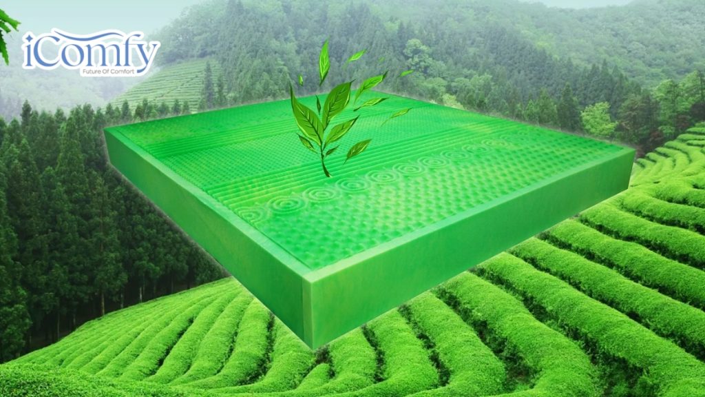 TOP 5 mẫu nệm foam trà xanh bán chạy năm 2026 [hienthinam]