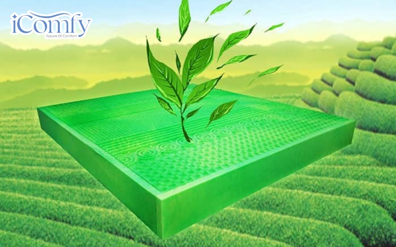Nệm foam trà xanh chính là một loại nệm mút hoạt tính có chứa các chiết xuất trà xanh bên trong