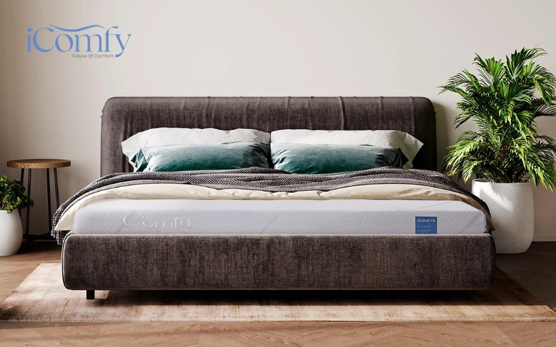Nệm foam Comfy Cloud 1.0