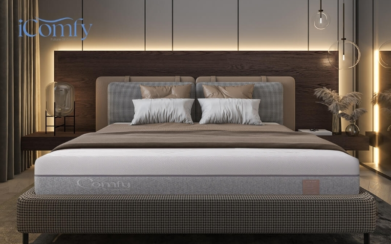 Nệm foam mát lưng cao cấp Comfy Lux 3.0