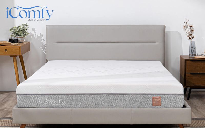 Nệm memory foam là gì? Điều cần biết về nệm memory foam 6 Antivirus kháng virus sinh sôi
