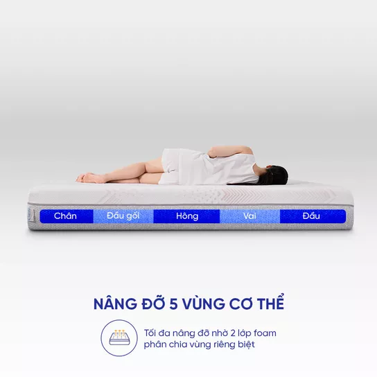 Comfy Lux 3.0 nâng đỡ 5 vùng cơ thể