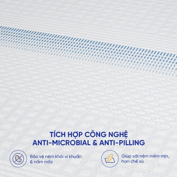 Nệm foam Comfy Cloud 3.0