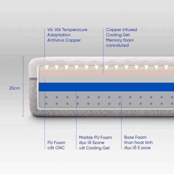 Nệm foam Comfy Lux 3.0