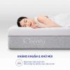 Nệm foam Comfy Lux 3.0