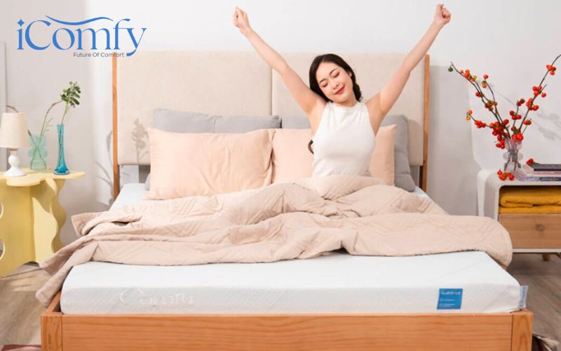 Đánh giá chi tiết nệm foam Comfy Lux 3.0 tốt không? Giá bán như thế nào? 2 Comfy là thương hiệu nệm chuẩn Mỹ dành riêng cho người Việt