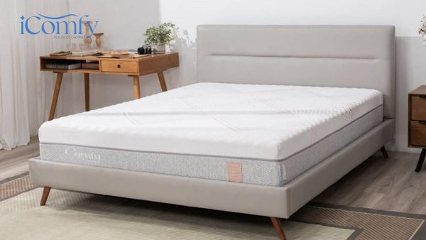 nệm foam Comfy Lux 3.0