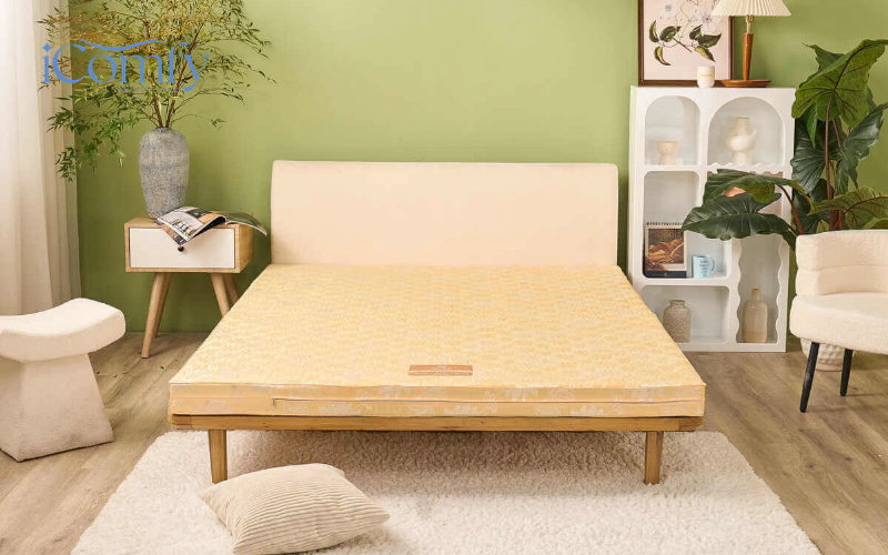 Nệm bông ép là gì?