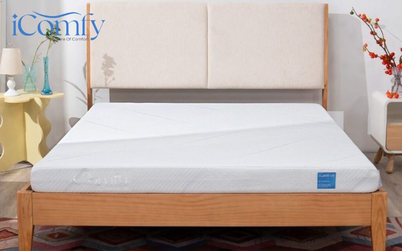 Đánh giá nệm foam hỗ trợ cột sống Comfy Cloud 1.0 có chất lượng ra sao? 2 Thương hiệu nệm foam Comfy luôn mang lại chất lượng vượt trội cho người dùng