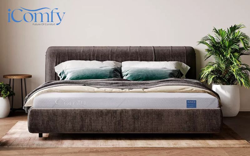 Đánh giá nệm foam hỗ trợ cột sống Comfy Cloud 1.0 có chất lượng ra sao? 7 Nệm Comfy Cloud 1.0 là lựa chọn rất đáng cân nhắc