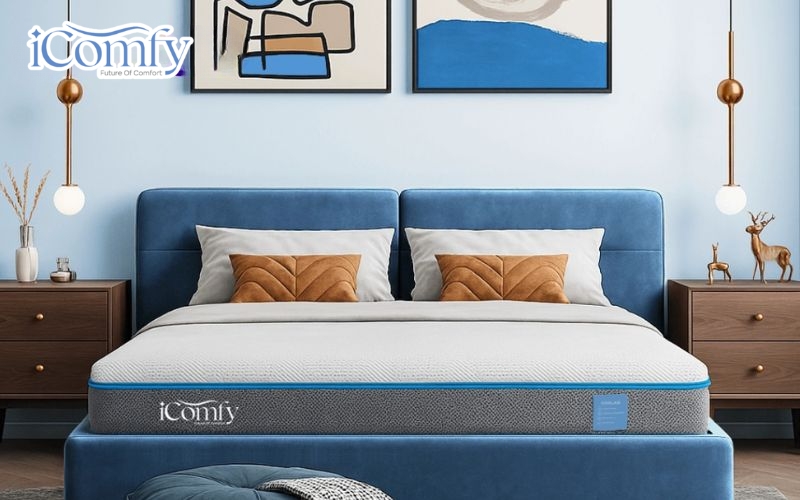 iComfy là lựa chọn đáng cân nhắc nhờ sự đầu tư nghiêm túc vào chất lượng sản phẩm và trải nghiệm người dùng
