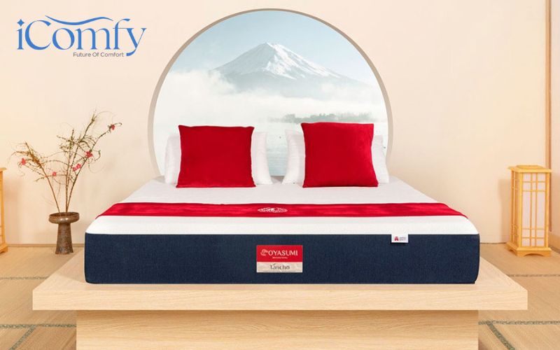 Nệm Foam Oyasumi - Thương hiệu nệm Foam cao cấp có xuất xứ từ Nhật 7 Nệm Oyasumi Tancho