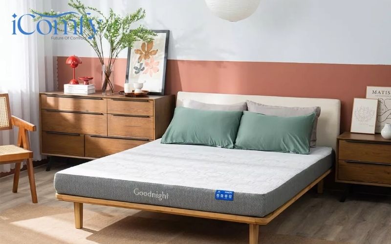 Top 7+ nệm foam tốt, êm ái và độ bền ấn tượng 13 Nệm foam Goodnight Hachi kháng khuẩn tốt
