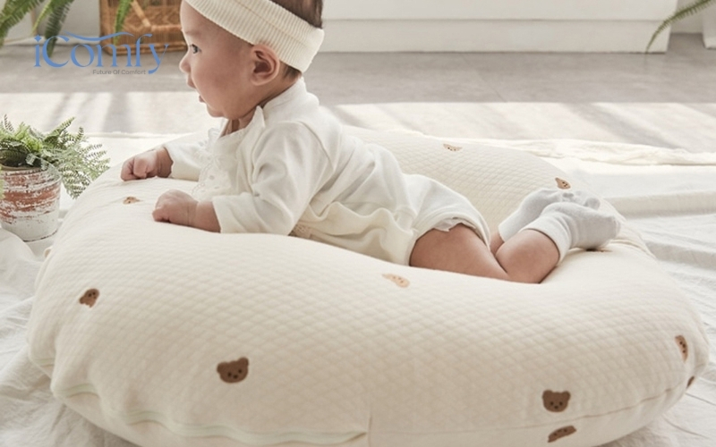 Gối chống trào ngược Jané