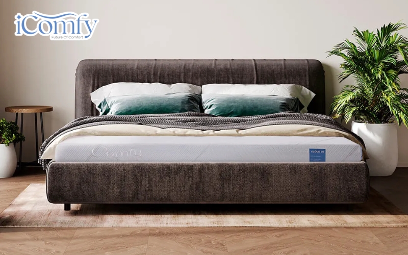 iComfy là địa chỉ đáng tham khảo với nhiều lựa chọn về cấu trúc, độ dày và khả năng hỗ trợ giấc ngủ
