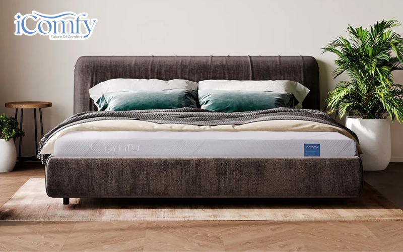 TOP 7 nệm cho người đau dạ dày giúp ngủ ngon, giảm trào ngược 13 iComfy có các dòng nệm với nhiều mức độ nâng đỡ khác nhau