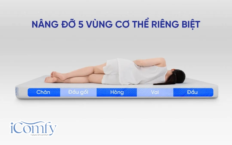 iComfy Cloud 1.0