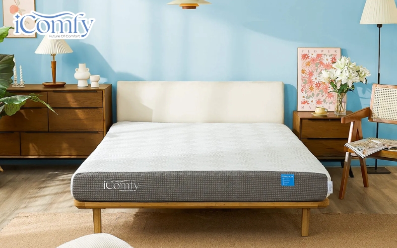 Cách chọn nệm cho người ngủ nghiêng giúp tạm biệt đau mỏi 14 iComfy còn mang đến nhiều chính sách mua sắm hấp dẫn