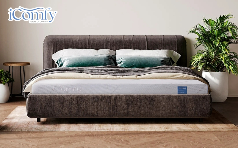 iComfy Cloud 1.0