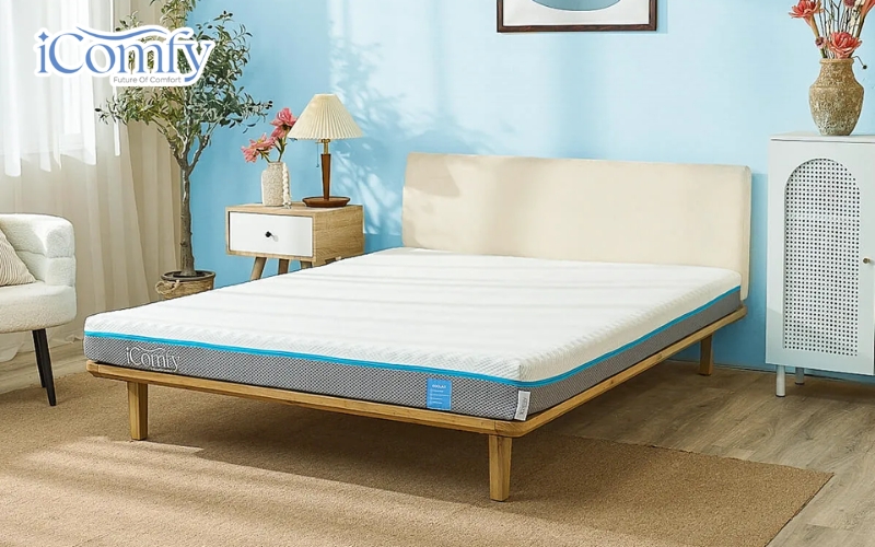 TOP 10 dòng nệm cho 2 người nằm chất lượng & Bí quyết chọn 10 iComfy Coolax Plus