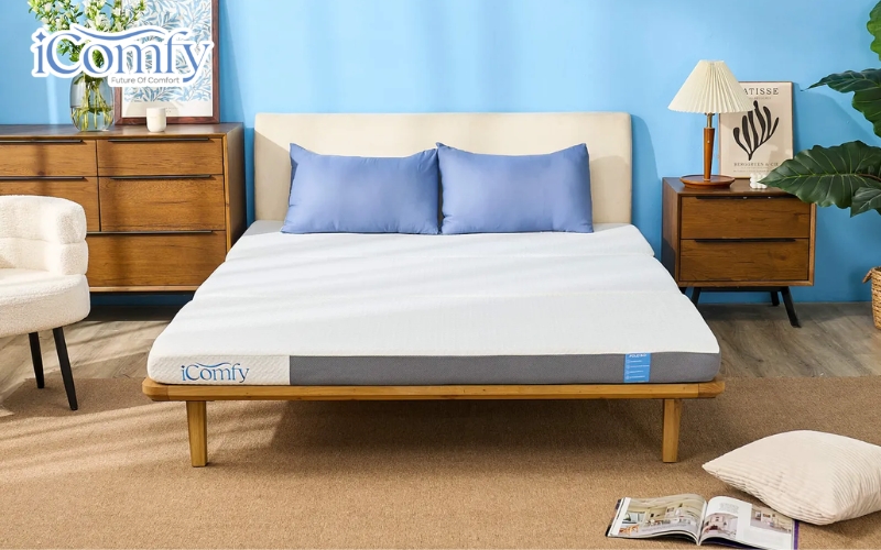 iComfy là địa chỉ bạn có thể tham khảo
