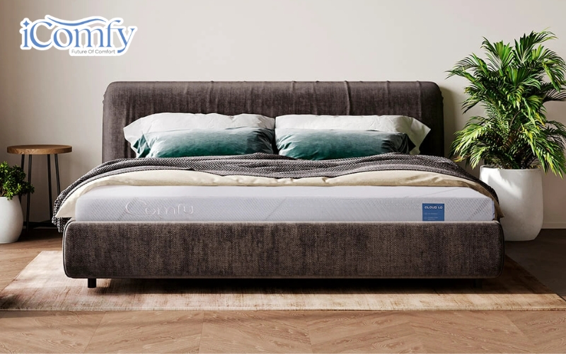 iComfy Cloud 1.0