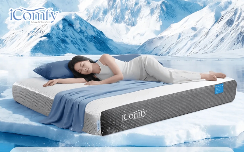  iComfy là địa chỉ đáng để bạn tham khảo