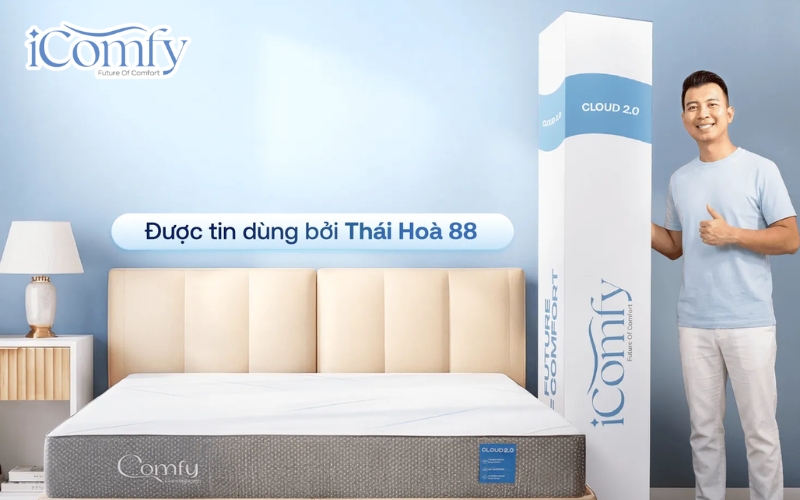 iComfy Cloud 2.0