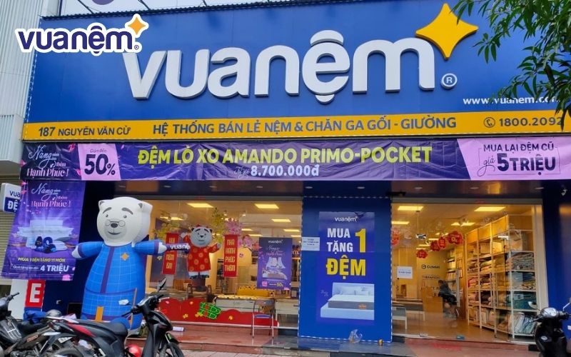 So sánh chất lượng và giá: Có nên chọn mua đệm ở Vua Nệm không? 2 Vua Nệm mang đến sự đa dạng trong sản phẩm với nhiều thương hiệu uy tín