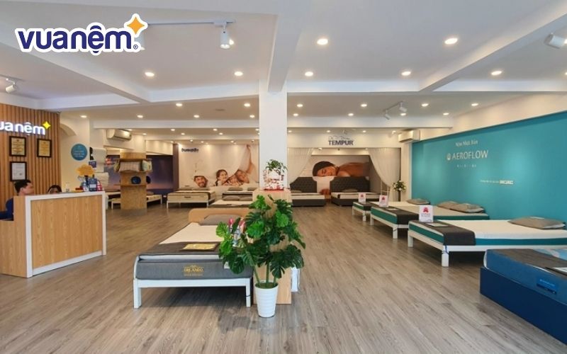 So sánh chất lượng và giá: Có nên chọn mua đệm ở Vua Nệm không? 3 Vua Nệm mang đến nhiều lựa chọn từ các thương hiệu uy tín