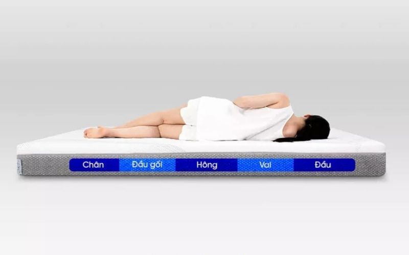 Nệm Comfy Cloud 3.0 có tốt không? Ai nên sử dụng nệm 4 Nệm foam Comfy Cloud 3.0 có tốt không - Comfy Cloud 3.0 nâng đỡ 5 vùng chủ động
