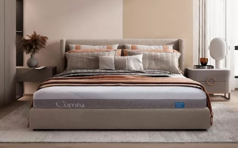 Nệm Comfy Cloud 3.0 có tốt không? Ai nên sử dụng nệm 6 Mua nệm Comfy Cloud 3.0 tại các địa chỉ uy tín