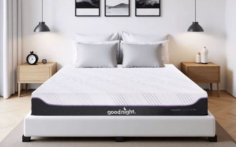 Nệm foam Goodnight Active Hybrid có tốt không? Review từ A - Z 8 Mua nệm Goodnight Active Hybrid uy tín giá tốt tại Vua Nệm
